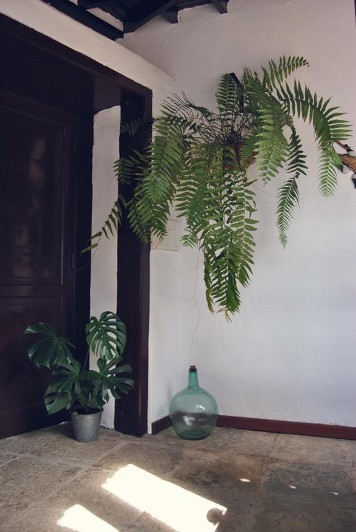 Casa Rural El Palmar バジェエルモソ エクステリア 写真